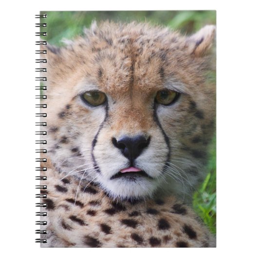 Gekke Cheetah Cub Notitieboek (Voorkant)