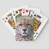 Gekke Cheetah Cub Pokerkaarten (Achterkant)