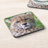 Gekke Cheetah Cub Square Bier Onderzetter (Linkerzijde)