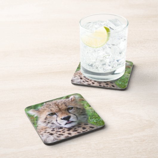 Gekke Cheetah Cub Square Bier Onderzetter (Rechterzijde)