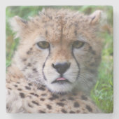 Gekke Cheetah Cub Stenen Onderzetter (Voorkant)
