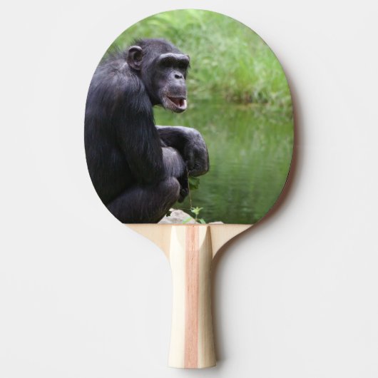 Gekke chimpansee tafeltennisbatje (Voorkant)