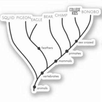 Gekke Cladogram 3"x 3"VinylStickers Sticker