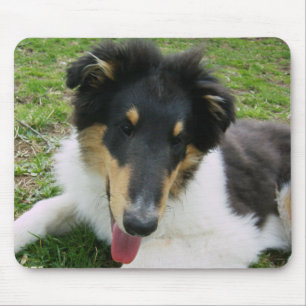 Gekke Collie pup Muismat