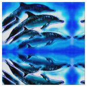 Gekke dolfijnen stof (Close Up)