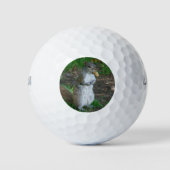 Gekke eekhoorn golfballen (Voorkant)