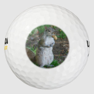 Gekke eekhoorn golfballen