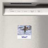 Gekke eendenmagneet magneet (Insitu (Vaatwasser))