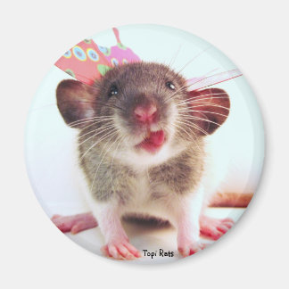 Gekke Flutterby Rat Magneet
