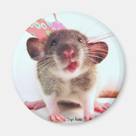 Gekke Flutterby Rat Magneet (Voorkant)