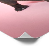 Gekke Franse Bulldog Puppy klaar om te spelen Poster (Hoek)