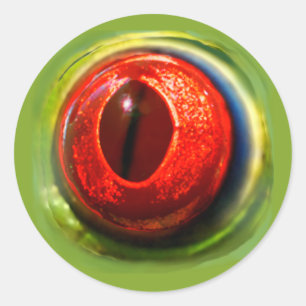 Gekke Fun Realistic Quirky Red Eyed Frog Eyeball Ronde Sticker
