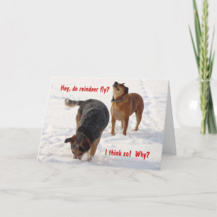 Gekke Funny Cattle Dogs Kerstsneeuw Feestdagen Kaart