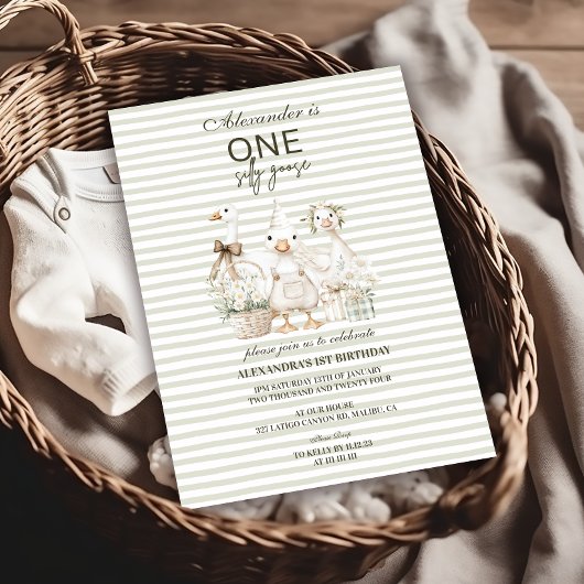 Gekke Gans 1e Verjaardag Groene Strepen Kaart