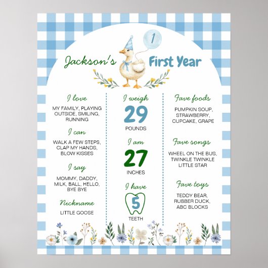 Gekke Gans 1e Verjaardagsfeest Mijlpaal Poster (Voorkant)