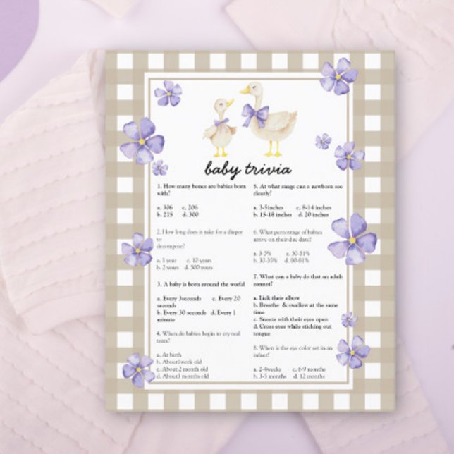 Gekke gans Baby shower - Baby trivia spel (Creator heeft geüpload)