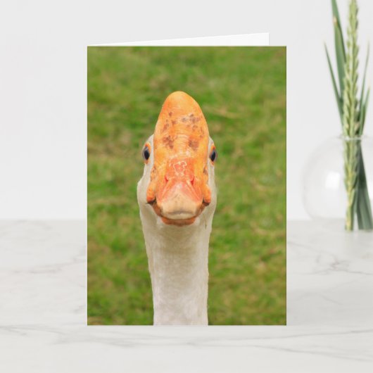 Gekke gans Birthday Kaart (Voorkant)