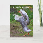 Gekke gans Birthday Kaart (Voorkant)