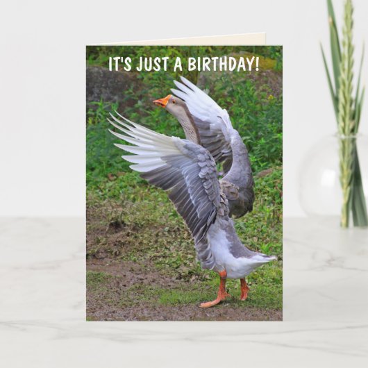 Gekke gans Birthday Kaart (Voorkant)