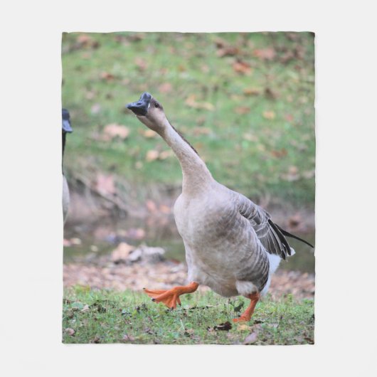 Gekke gans fleece deken (Voorkant)