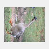 Gekke gans fleece deken (Voorkant (Horizontaal))