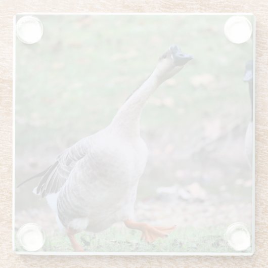 Gekke gans glazen onderzetter (Achterkant)