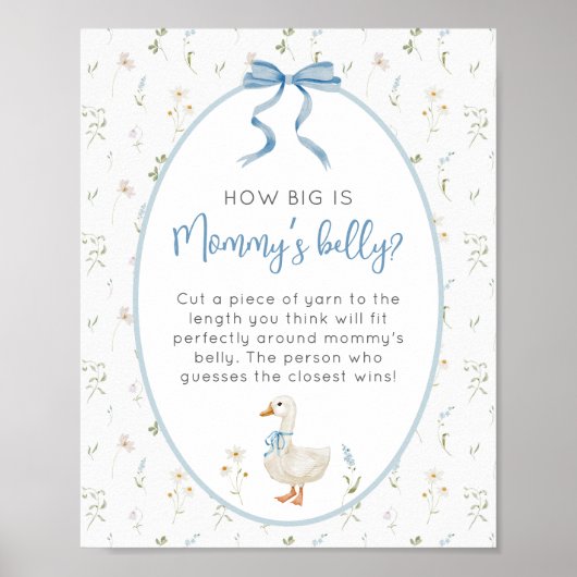 Gekke Gans Hoe groot is de buik van mama Poster (Voorkant)