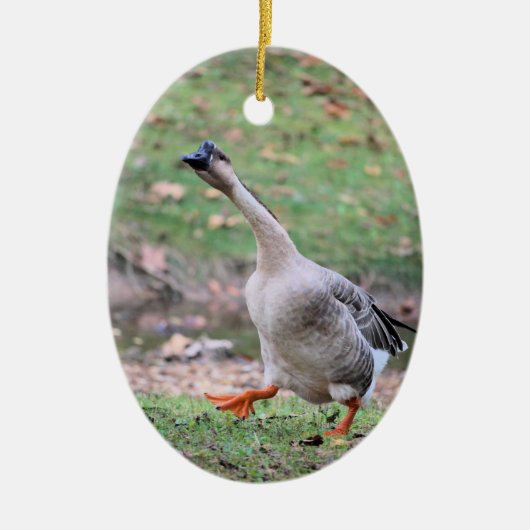 Gekke gans keramisch ornament (Voorkant)