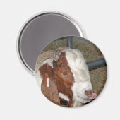 Gekke geit magneet (Voorkant / Achterkant)