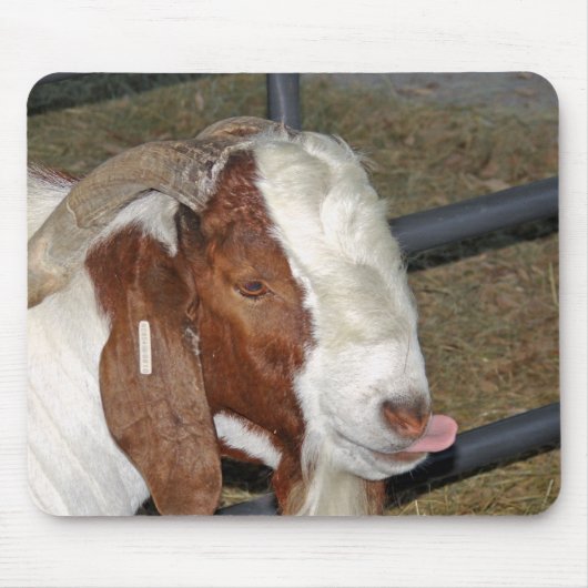 Gekke geit muismat (Voorkant)