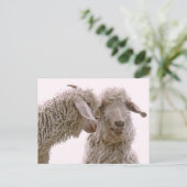 Gekke geitenfoto briefkaart (Staand voorkant)