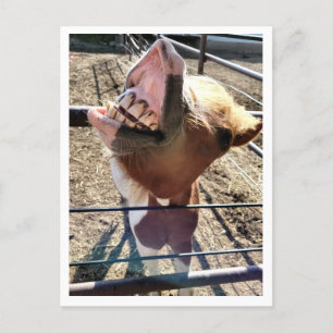 Gekke gezicht Briefkaart