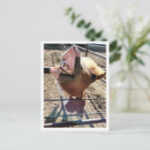 Gekke gezicht Briefkaart (Staand voorkant)