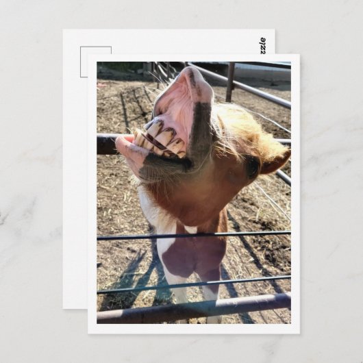 Gekke gezicht Briefkaart (Voorkant / Achterkant)