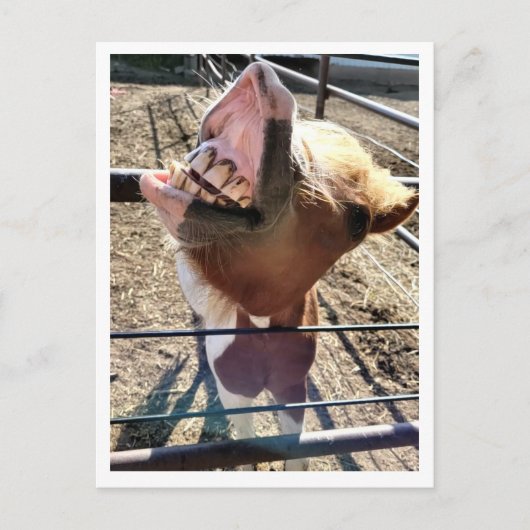 Gekke gezicht Briefkaart (Voorkant)