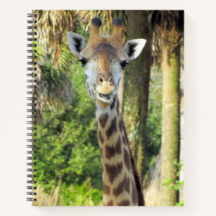 Gekke Giraffe - 8,5 x 11, 8,5 x 8,5 of hart Notitieboek