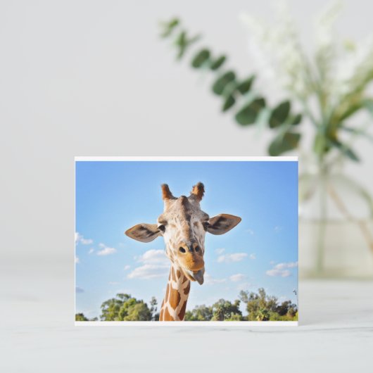Gekke Giraffe Briefkaart (Staand voorkant)