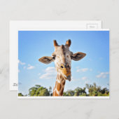 Gekke Giraffe Briefkaart (Voorkant / Achterkant)