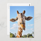 Gekke Giraffe Briefkaart (Voorkant / Achterkant)