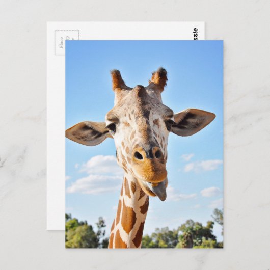 Gekke Giraffe Briefkaart (Voorkant / Achterkant)