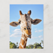 Gekke Giraffe Briefkaart (Voorkant)