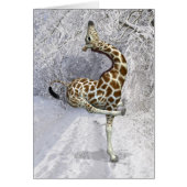 Gekke Giraffe in de winter (Voorkant)