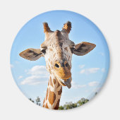 Gekke Giraffe Magneet (Voorkant)