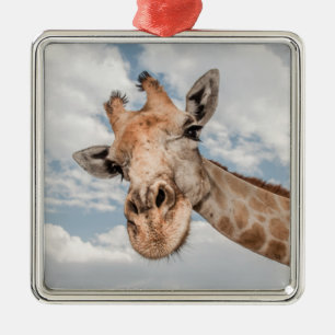 Gekke Giraffe Metalen Ornament