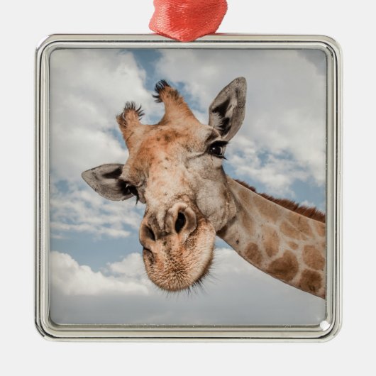 Gekke Giraffe Metalen Ornament (Voorkant)