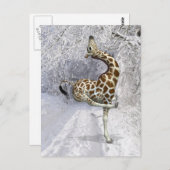 Gekke Giraffe spelen in Snow Briefkaart (Voorkant / Achterkant)