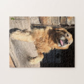 Gekke Golden Retriever foto Legpuzzel (Horizontaal)