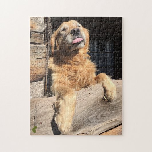 Gekke Golden Retriever foto Legpuzzel (Verticaal)