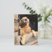 Gekke Golden Retriever Foto van jou Briefkaart (Staand voorkant)