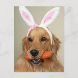 Gekke Golden Retriever-hond met paasoren Feestdagenkaart